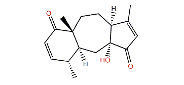 Enbepeanone A